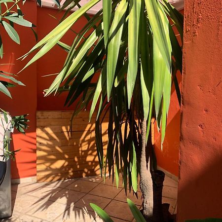 Villa Coyoacan Mexico-stad Buitenkant foto
