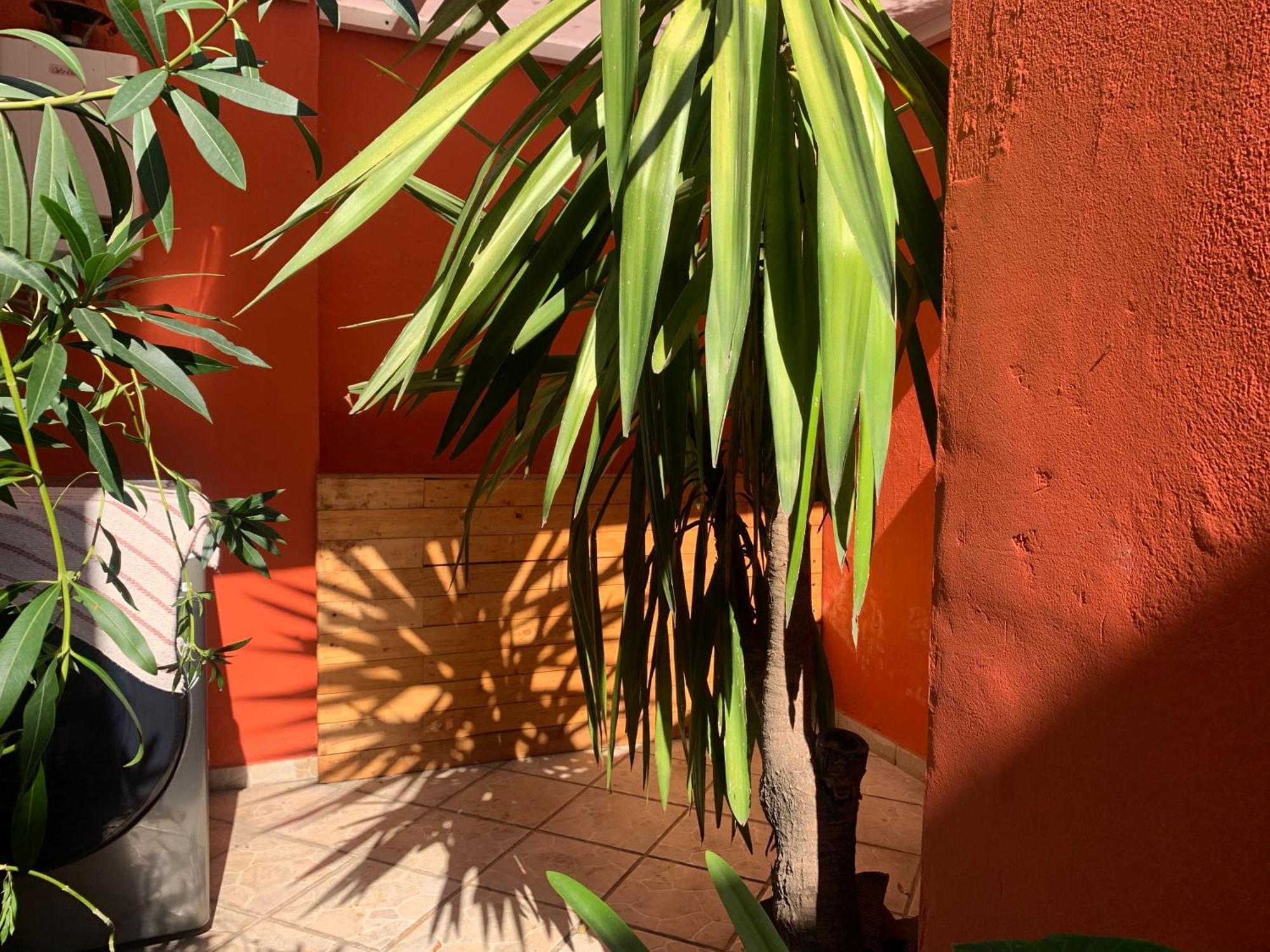 Villa Coyoacan Mexico-stad Buitenkant foto